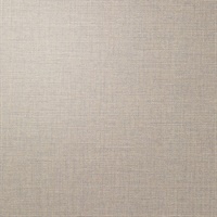 P3TEC Stellar Platinum Wall Protection