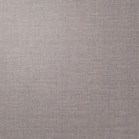 P3TEC Stellar Silver Scratch Wall Protection