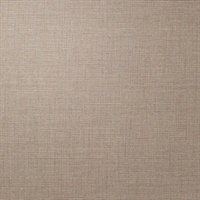 P3TEC Stellar The Rub Wall Protection