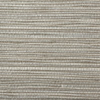 Palmetto Storm Cloud