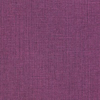 Panache Orchid Blossum