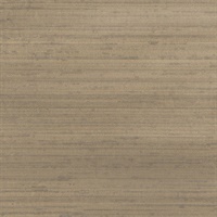 Paris Silk Nights Bronzed Beauty