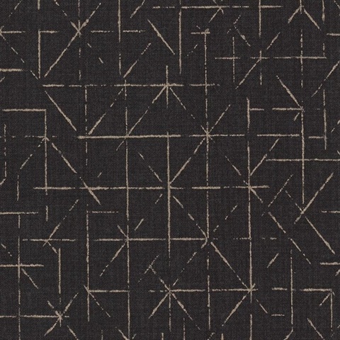 Park Grille Black Hole Sun