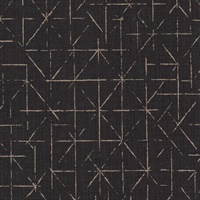 Park Grille Black Hole Sun