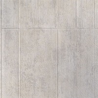 Patina Blocks Brushed Silver