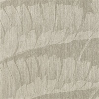 Pawleys Island Beach Front