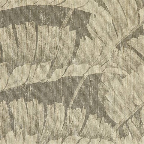 Pawleys Island Grand Strand