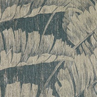 Pawleys Island Murrells Inlet