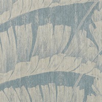 Pawleys Island Surf & Sand