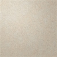 Per-Sueded Abalone Leather Texture