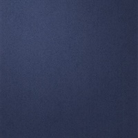 Per-Sueded Blue Suede Shoes Leather Texture