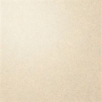 Per-Sueded Brulee Leather Texture