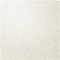 Per-Sueded Classic  Leather Texture