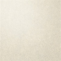 Per-Sueded Coconut Husk Leather Texture