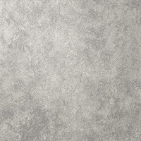 Per-Sueded Palladium Leather Texture