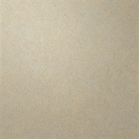 Per-Sueded Patina Leather Texture