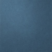 Per-Sueded Tantalizing Teal Leather Texture