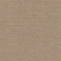 Pescado Golden Shiner