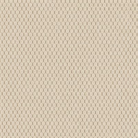 Petite Rubix Latitude