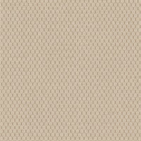 Petite Rubix Longitude