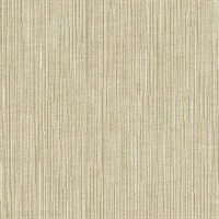 Pick Up Sticks Desert