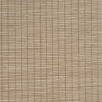 Pinstripe Hype Acorn