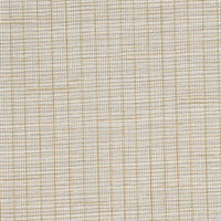 Pinstripe Hype Creamy Gold