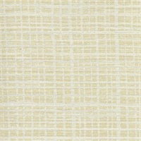 Plaid Hatter Adventure