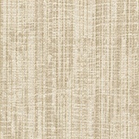 Plastered Woven Gypsum