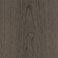 Pleasantrees Ashe Magnolia