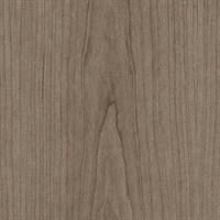 Pleasantrees Rock Elm