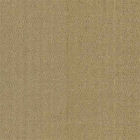 Poplin Light Brown Woven Texture