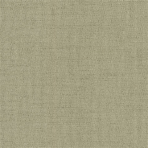 Poplin Neutral Woven Texture