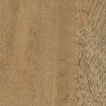 Premium Wood Mango Straight/Flat Grain 1