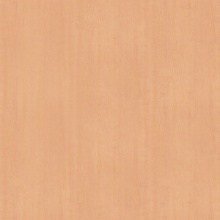 Premium Wood Maple Straight Grain 1