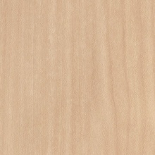 Premium Wood Maple Straight Grain 1