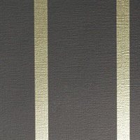 Proximity Ebony Mylar