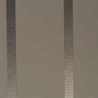 Proximity Pumice Mylar