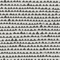 Pyramid Graphite
