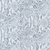 Python Snake Platinum