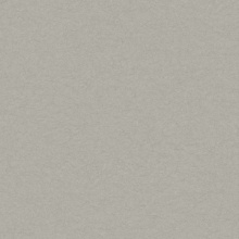 Questex Faux Texture