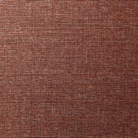 Quinault Autumn Wall Protection