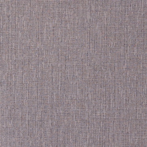 Quinault Clay Wall Protection