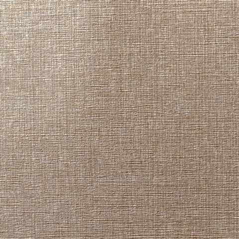 Quinault Petrichor Wall Protection