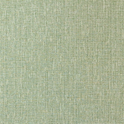 Quinault Spring Wall Protection