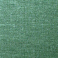 Quinault Spring Wall Protection