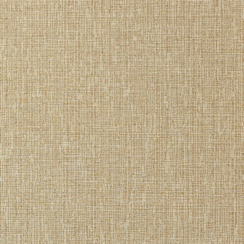 Quinault Sunlight Wall Protection