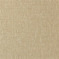 Quinault Sunlight Wall Protection