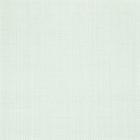 Raising Cain Amuse-Mint