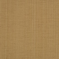 Raising Cain Bourbon Street